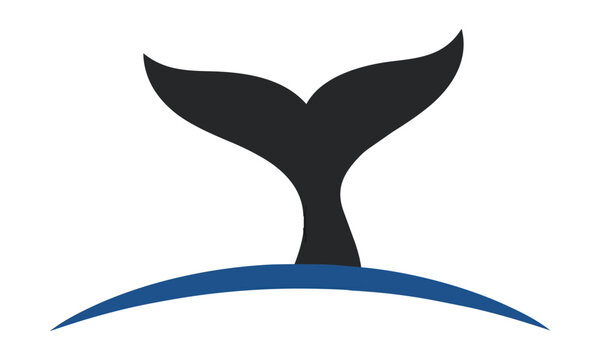 Minimalist silhouette of a whale tail fluke emerging from a deep blue water wave arc on a white background, marine life and ocean nature concept