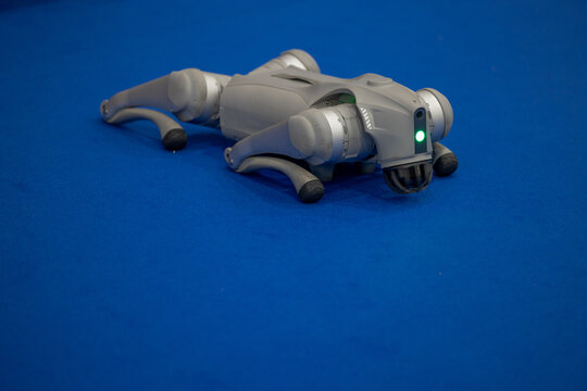 Futuristic quadruped robotic dog with smart sensors and optical camera, Concept for artificial intelligence development, automation, future technology, and innovative robotics.