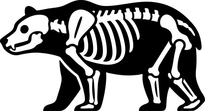 Stylized bear silhouette with internal skeleton graphic