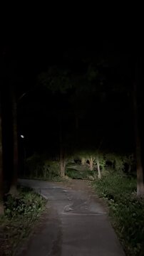 Riding a motorcycle on a narrow road in the rainforest at night