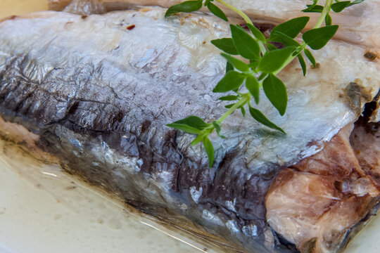 Sardine 