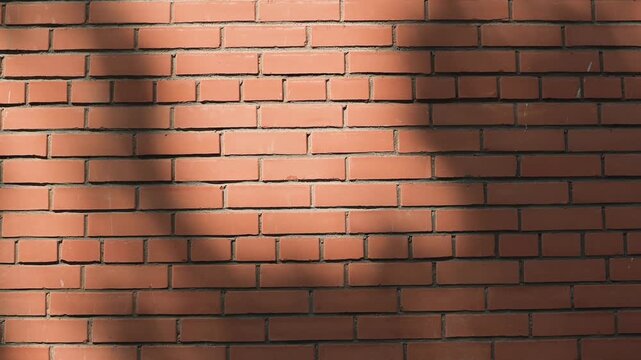 Shadows from nearby objects fall on a brick wall, forming a distinct pattern across four sections.