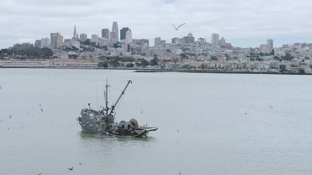 Commercial Fishing Boat Hauling Net Surrounded by Seagull Flock In San Francisco Bay - Aerial Shot
