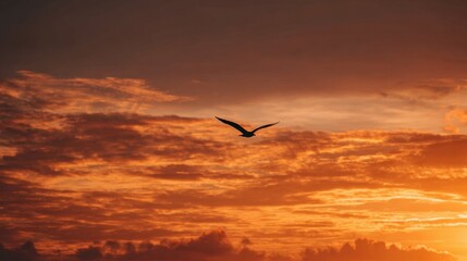 Fototapeta premium Bird soars through vibrant orange sunset with clouds and sky