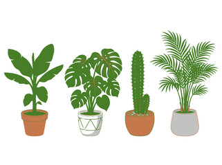 Fototapeta premium A collection of four distinct potted indoor houseplants illustrated in a flat vector style.