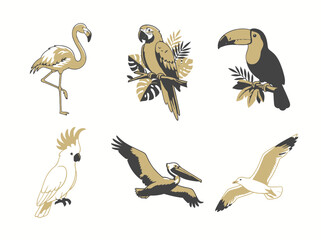 Fototapeta premium A collection of hand drawn tropical birds including a flamingo parrot toucan cockatoo pelican and seagull.