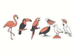 Fototapeta premium A collection of various colorful tropical and coastal bird species illustrated in a flat graphic style.