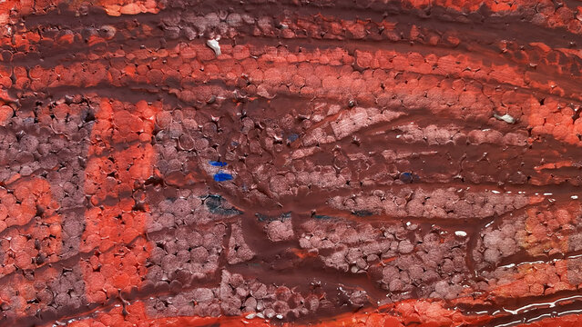 Close up texture of red painted styrofoam surface background