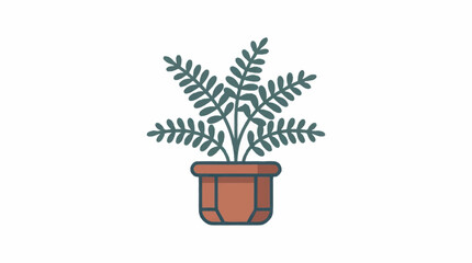 Potted fern plant with lush green fronds in terracotta pot. © mbak