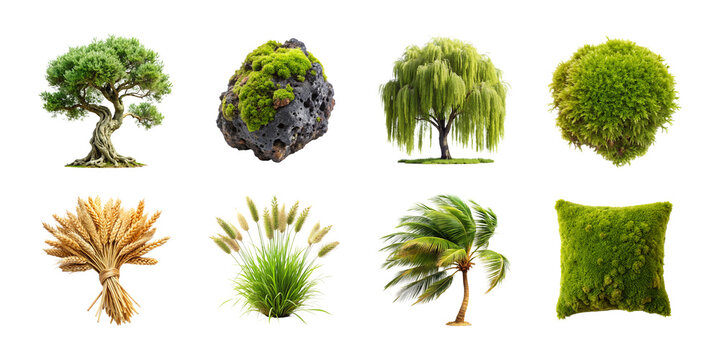 Variety of plants and trees collection isolated on transparent background