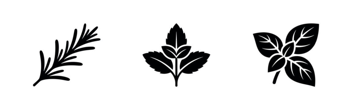 Three black herb icons representing rosemary, mint, and basil leaves.
