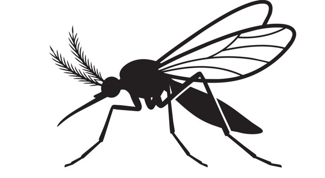 Mosquito Vector Icon Profile View Silhouette Isolated On White Background
