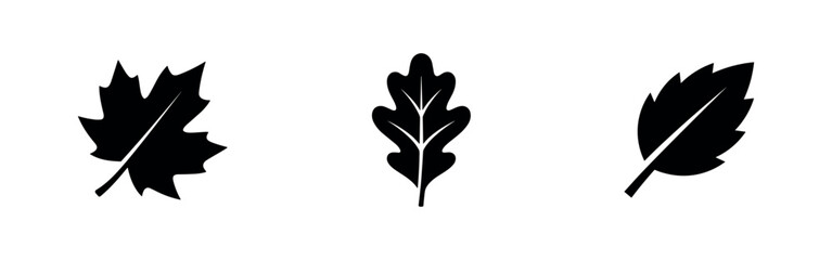 Leaf Icons Set, Black and White Oak, Maple, and Fern Leaves © Lili