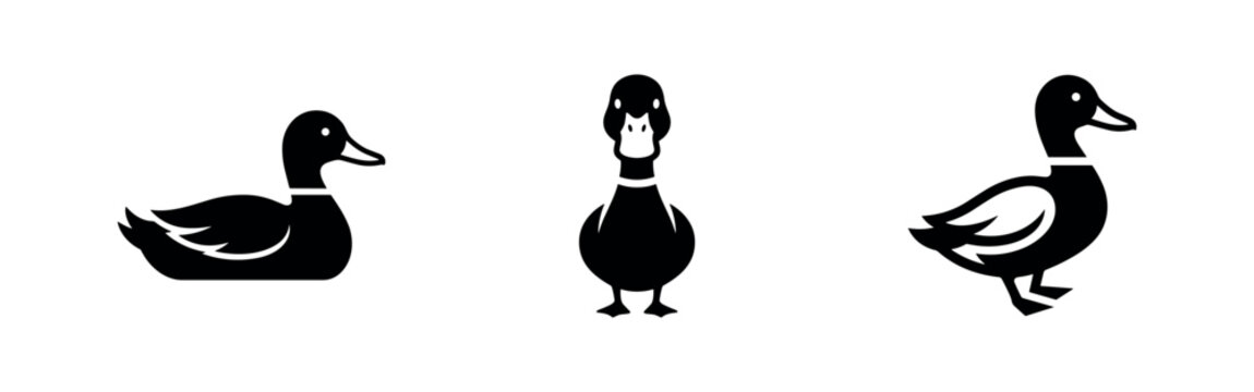 Duck Icons