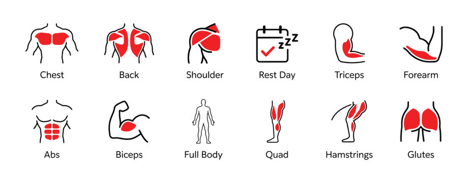 Workout Muscle Group Icons featuring fitness anatomy symbols, training body parts, fill and stroke styles, gym exercise categories, health tracking, and vector illustration.
