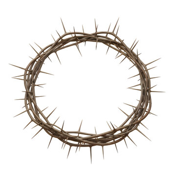 Spiked barbed wire crown illustration