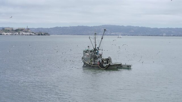 Commercial Fishing Vessel Surrounded by Seagulls In San Francisco Bay - Aerial Shot