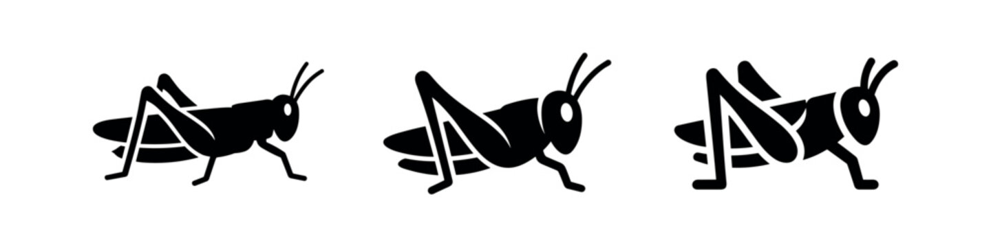 Grasshopper Insect Icons