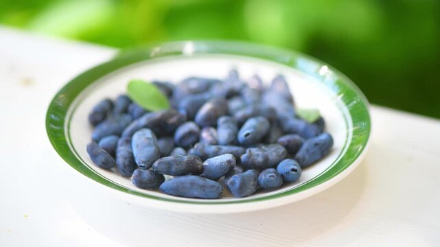 Haskap berries, also known as honeyberries or blue honeysuckle, filling a white plate with a green rim, showcasing their oblong shape and deep blue color, with fresh green leaves