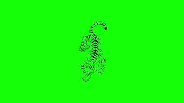 Dynamic Tiger Illustration on Bright Green Screen Background for Video Editing