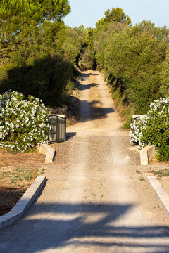 long gravel driveway in Spain
