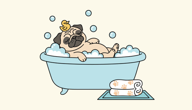 Cute pug dog relaxing happily in a bubble bath inside a blue clawfoot tub with a yellow rubber duck on its head.