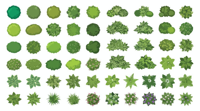 Top view landscape symbols for site planning, 60 green tree and bush icons for architectural masterplans, garden design vector set