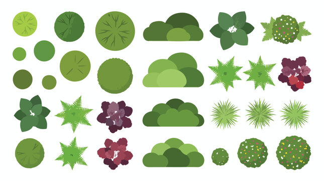 Flat landscape design elements, top view tree and bush symbols for site planning, 25 green plant icons for architectural mapping and garden layout