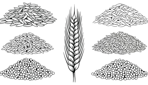 Imagine prompt: hand drawn grain piles and wheat ear illustration set