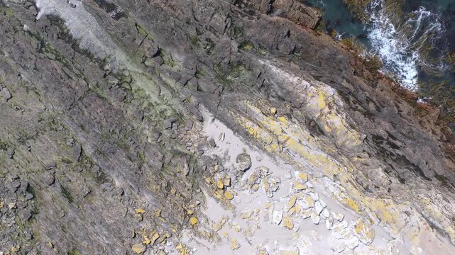 Cinematic Aerial Drone Footage Descending Toward Southern Elephant Seal Resting on Rocky Beach in Falkland Islands