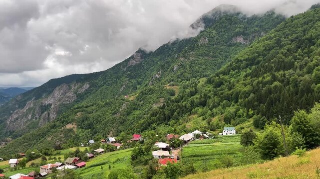 Mountain foothills and pine forest green ecosystem in cool temperate high altitude village with residential cabin and agriculture cultivated fields in harvest season summer landscape Caucasus terrain