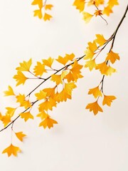 Fototapeta premium Delicate golden ginkgo leaves dance across a crisp white background, creating a mesmerizing pattern, nature, fall