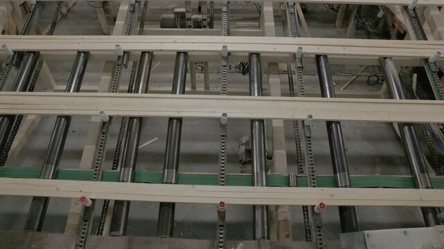 Fresh wooden boards travel across metal rollers and chain conveyors inside a lumber processing facility
