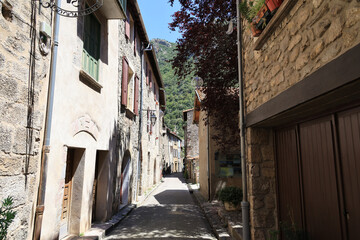 Fototapeta premium Romantic alley in the medieval town Villefranche-de-Conflent, France 