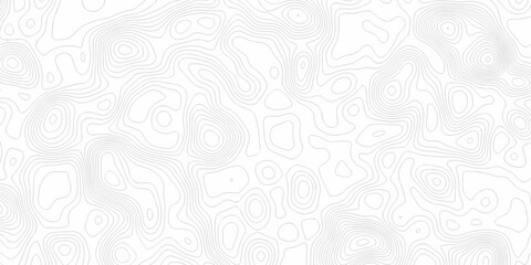 white land scape spiral area location and topographic map discovery. vector topo map design White background. topography world grid wave curve map geographic line texture. © haven lklkj11