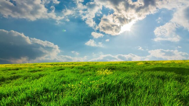 green fields acene time lapse scene