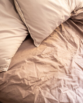 Soft morning sunlight illuminates rumpled mauve-grey bedding and plush pillows, creating a serene and cozy bedroom atmosphere. 