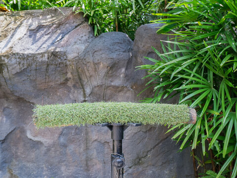 Artificial grass perch on a black metal stand with a rock wall and green tropical palm plants in the background
