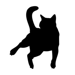 Black cat silhouette walking head tilt handdrawn feline pet © BlackGroundMeYou 