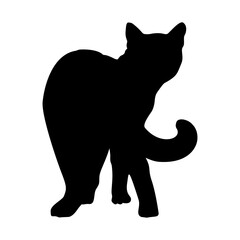Black cat silhouette standing looking back handdrawn pet animal © BlackGroundMeYou 