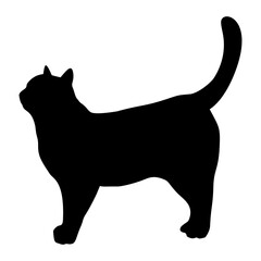 Black cat silhouette walking side view handdrawn feline animal © BlackGroundMeYou 