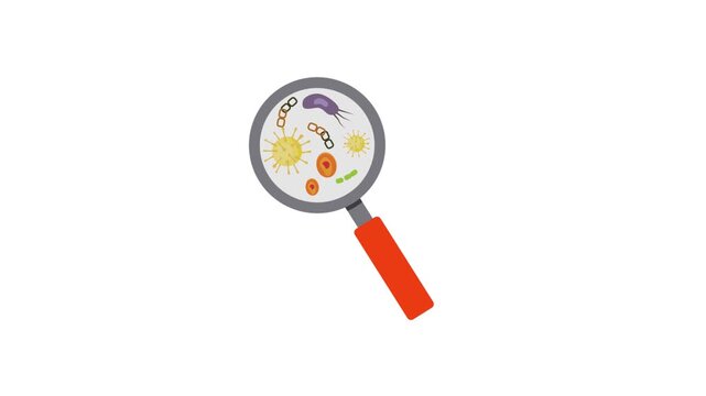 Bacterial cell division vector animation showing binary fission duplication process