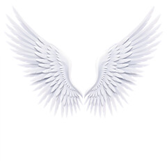 Fototapeta premium A pair of white angel wings isolated on transparent background