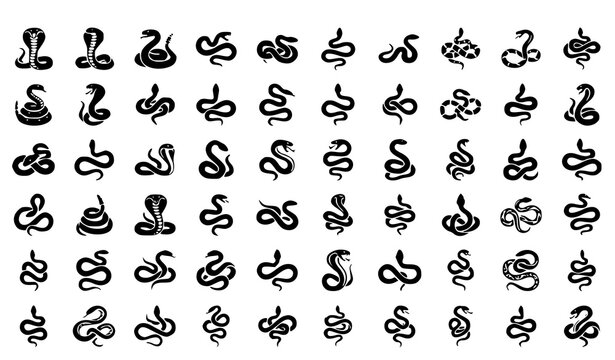 Snake Silhouette Vector Set with Cobra Rattlesnake Viper and Serpent Logo Designs
