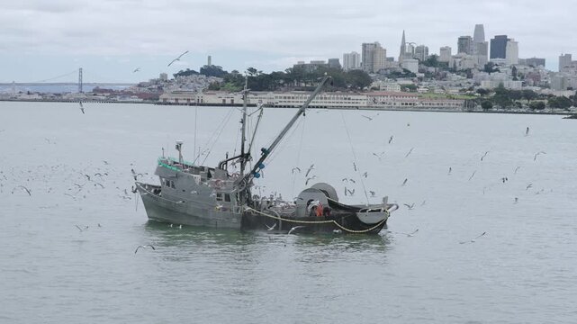 Fishing Vessel Departing San Francisco Bay With Many Seagulls Flying Around It - Aerial Shot