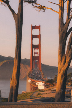 Golden Gate Bridge framed by trees at sunset