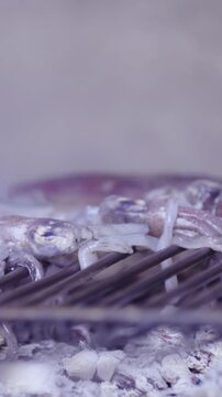 Cooking fishes and squids on barbecue