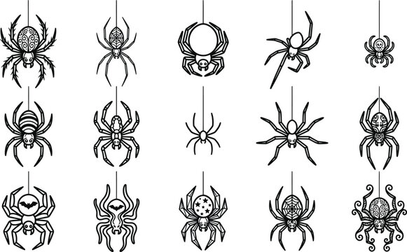 Black and white spider illustrations hanging from threads in a grid