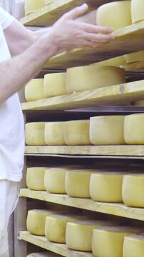 Person turn around cheese wheel in factory