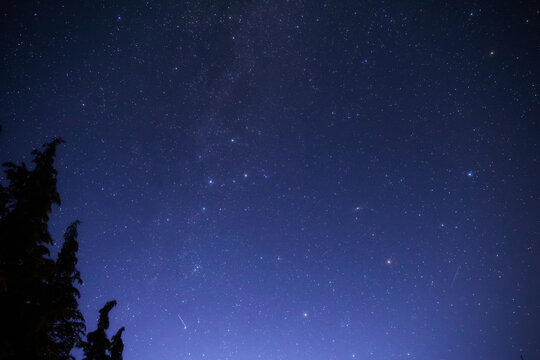 Summer Milky Way stars and landscape scenery silhouettes.